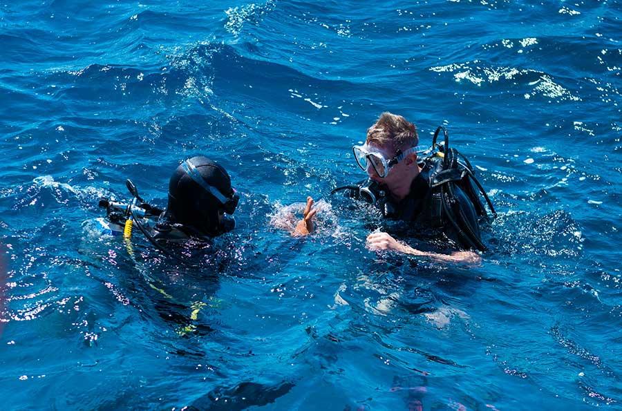 Diver in the ocean