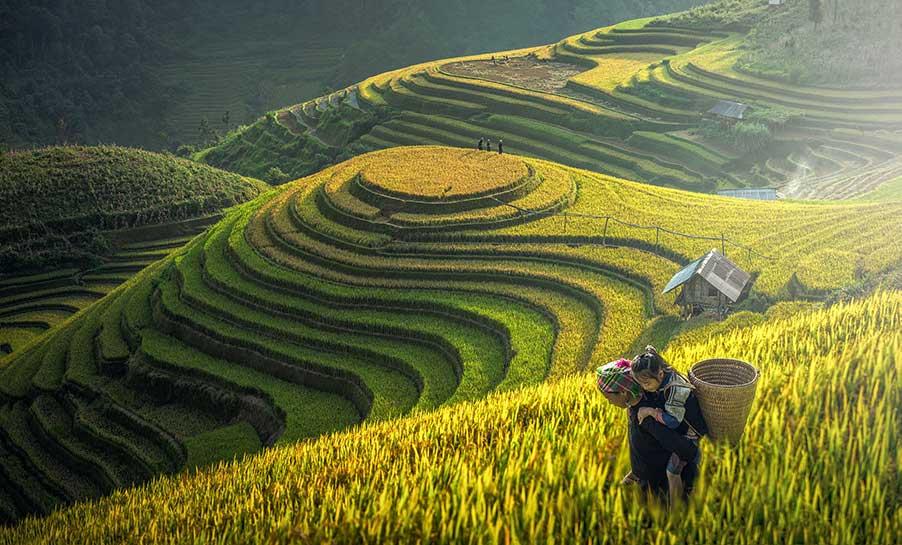 Mother and daughter working in the rice fields of Sapa