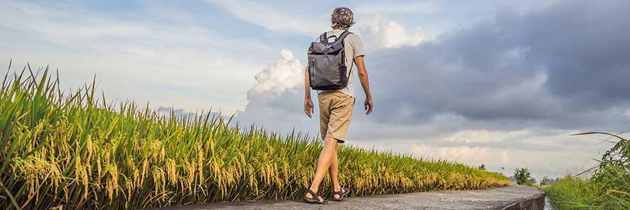 Man with backpack walks in a field