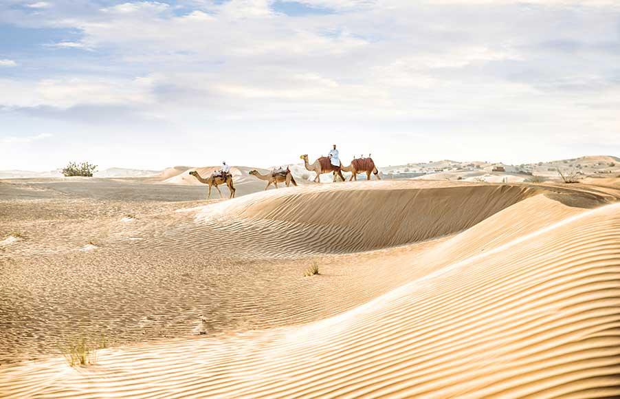 A desert in Saudi Arabia