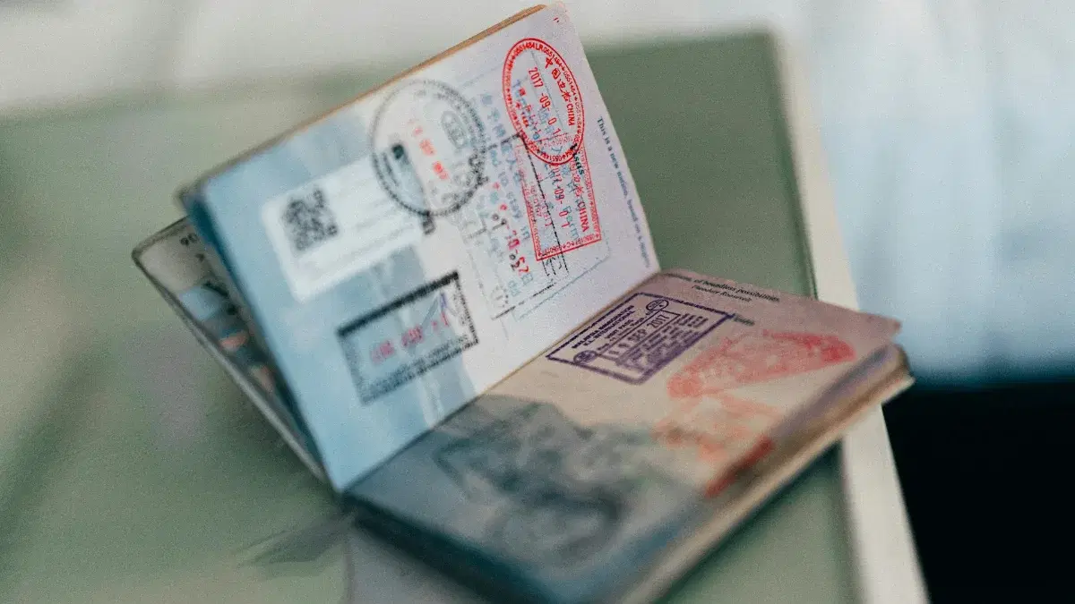 Pass with entry stamps