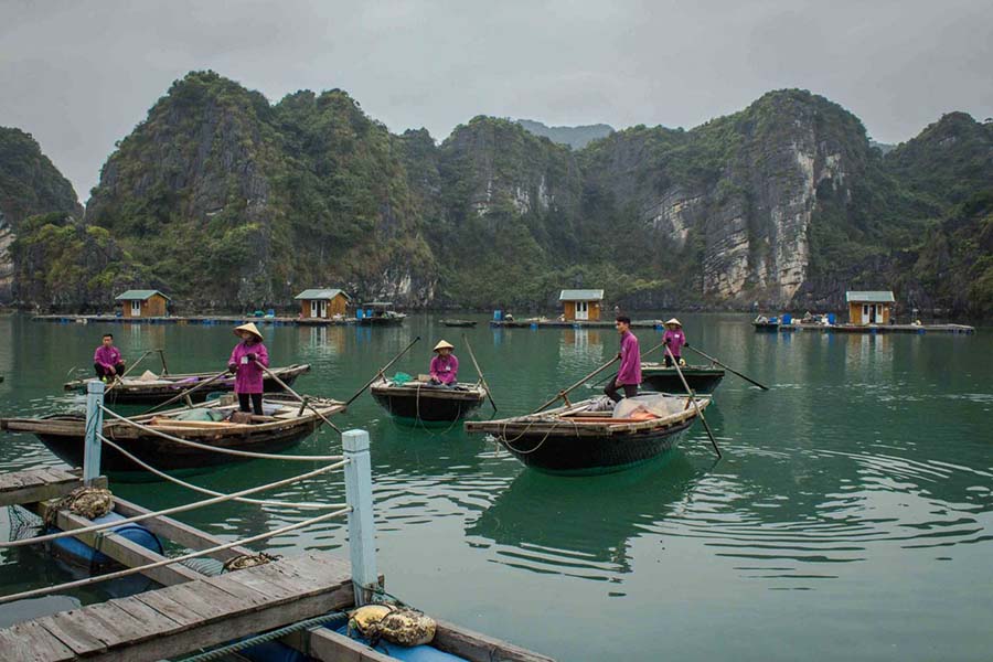 Bai Tu Long Bay