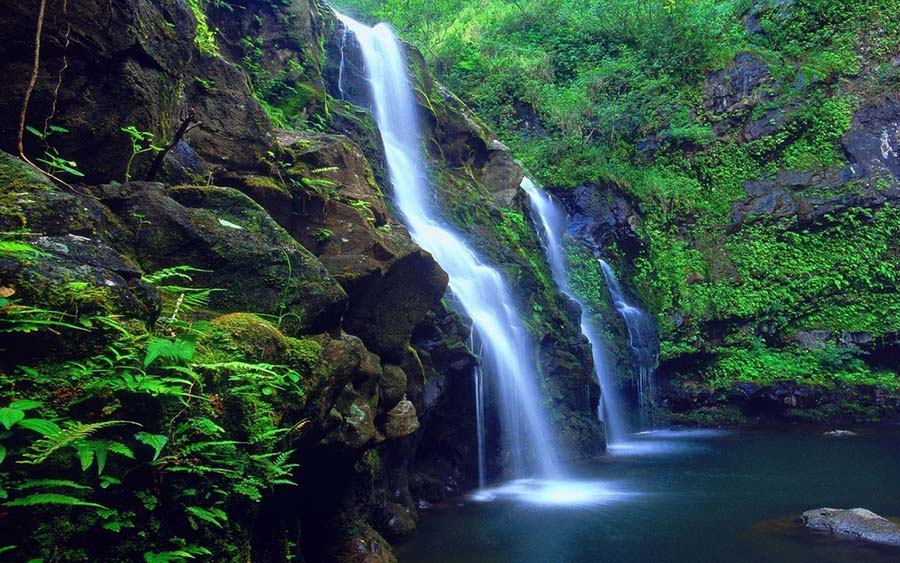 Phong Nha-Ke Bang National Park, Quang Binh, Vietnam