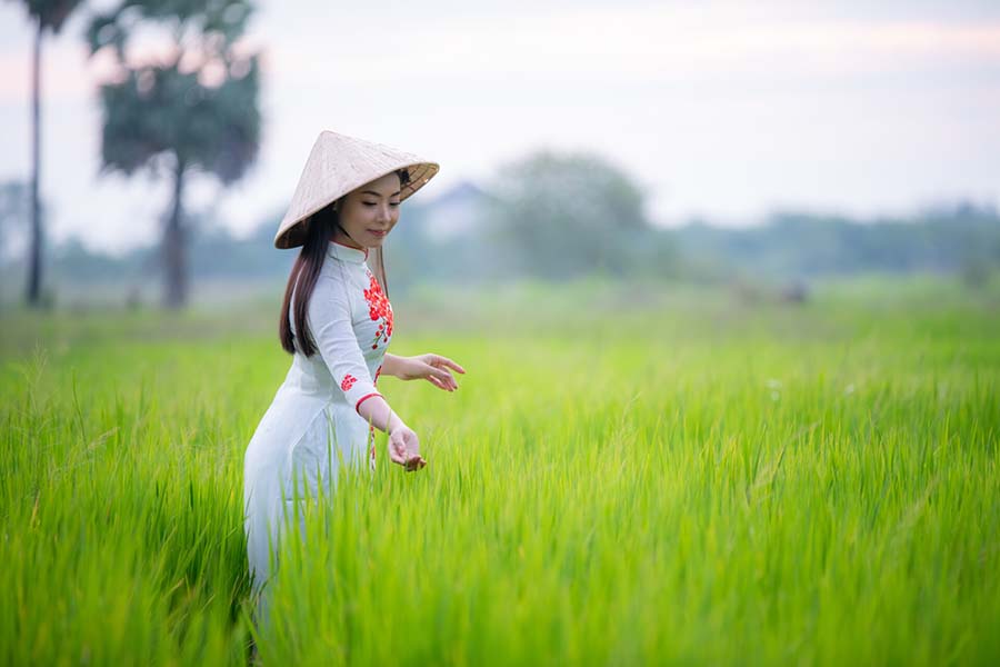 Vietnam Agriculture