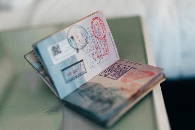 Vietnam E-Visa Processing Times Comparison